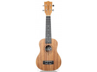 Tanglewood TWT1 Tanglewood TWT1